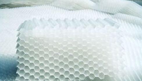 食品加工廠的污水處理<a href='http://www.zgysshy.com/jstl/60.html' target='_blank'><u>蜂窩斜管填料生產廠家</u></a>